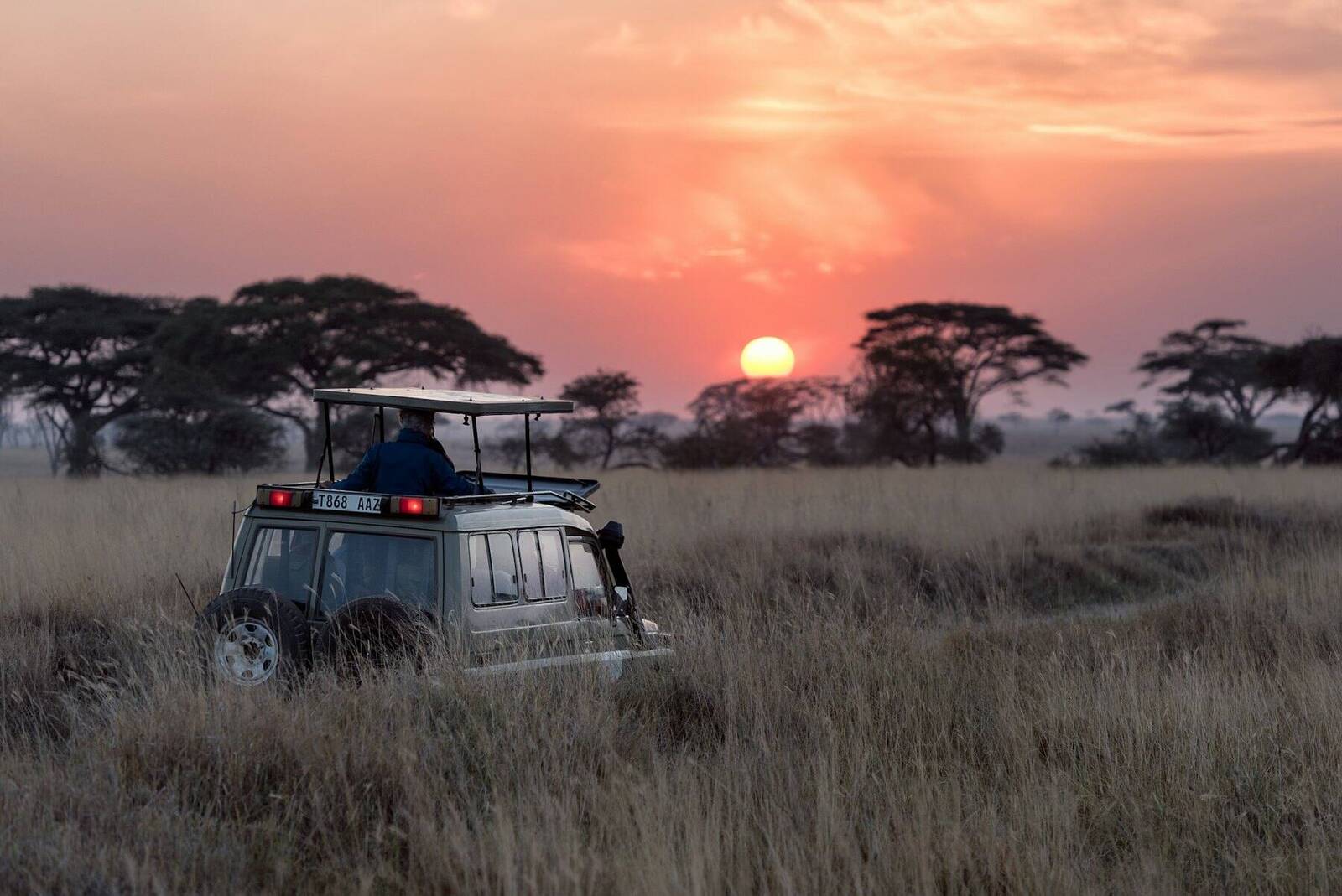 Serengeti & Zanzibar Safari